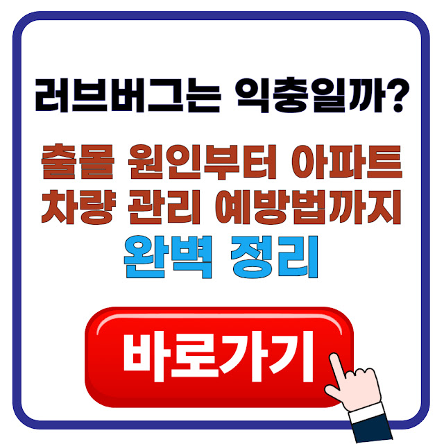 러브버그는 익충일까? 출몰 원인부터 아파트·차량 관리 예방법까지 완벽 정리