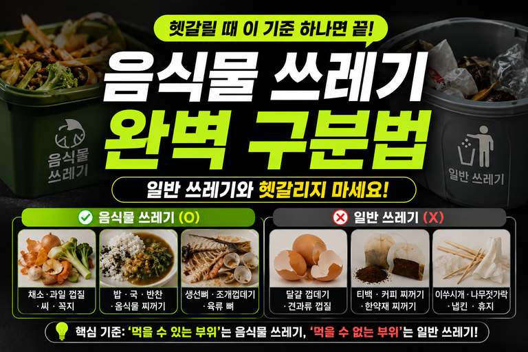 헷갈리는 음식물 쓰레기 분류 기준: 일반 쓰레기와 완벽 구분하는 법